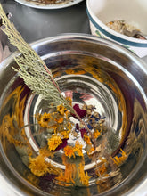 Enchantment Spell and Star Seed Serum